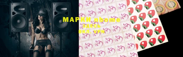 ECSTASY Кукмор