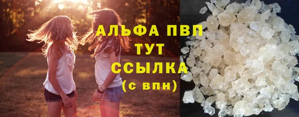 ECSTASY Кукмор