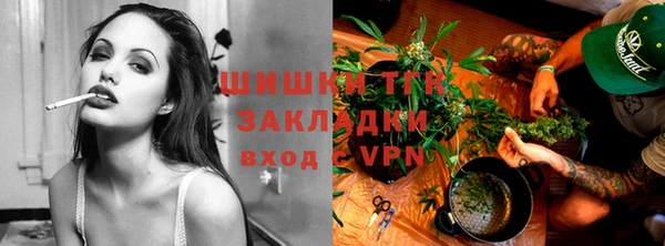 ECSTASY Кукмор